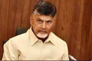 AP HC GRANTS BAIL TO TDP CHIEF CHANDRABABU NAIDU IN SKILL DEVELOPMENT CORPORATION SCAM CASE