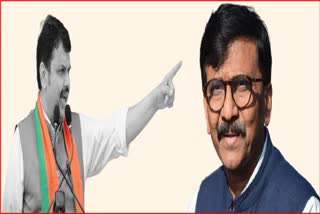 Devendra Fadnavis slams Sanjay Raut