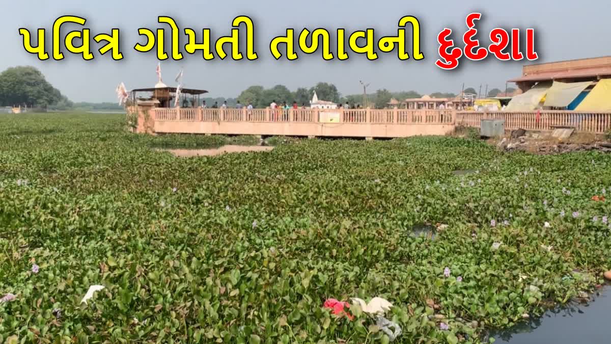 ડાકોરના પવિત્ર ગોમતી તળાવ