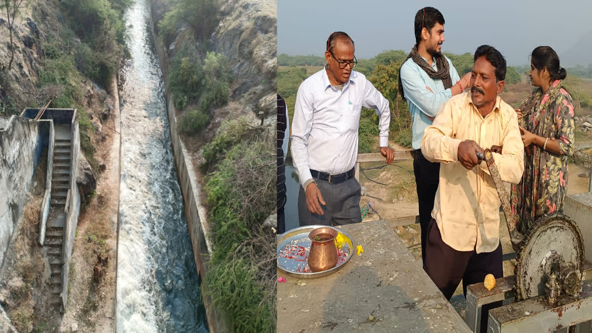 Bisalpur dam in Tonk