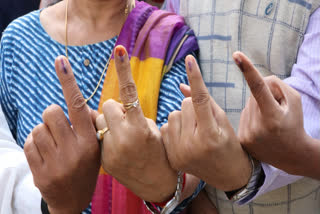 Maharashtra Assembly Elections