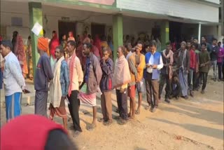 jharkhand-assembly-election-2024-second-phase-voting-turnout