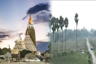 PURI JAGANNATH TEMPLE LAND ISSUE