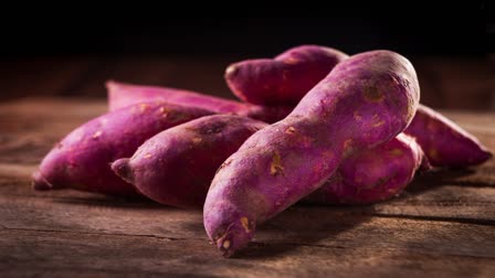 Sweet potato News