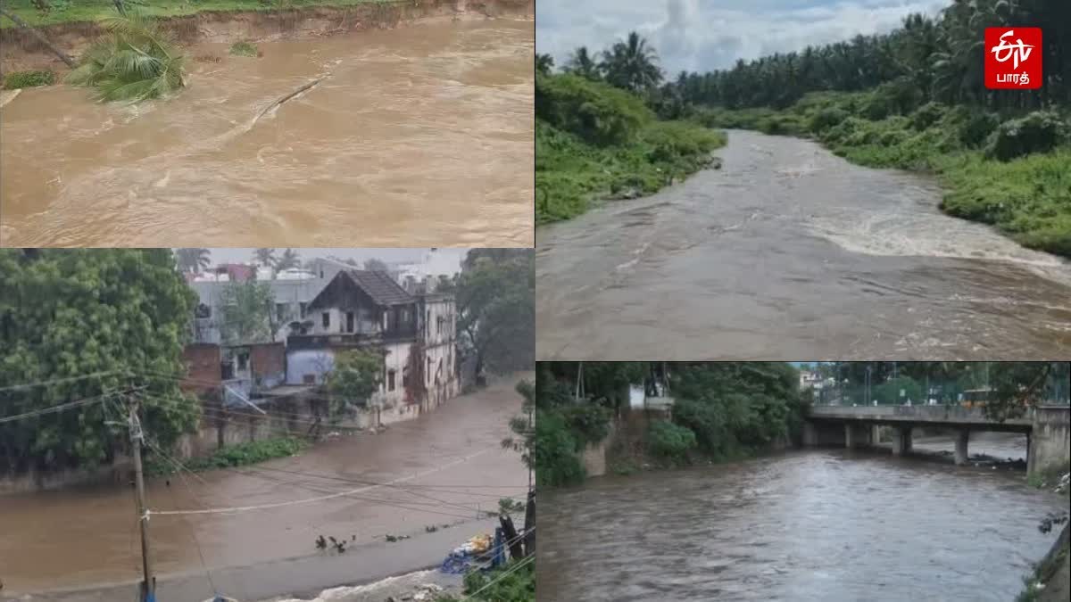 thirunelveli rain flood affected report