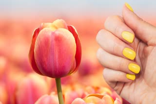 Nail Care News