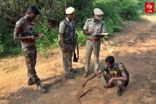 வனவிலங்குகள் கணக்கெடுப்பு பணியில் வனத்துறை ஊழியர்கள்