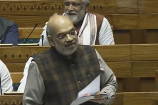 Modi govt delivers on its promises: Shah in Lok Sabha