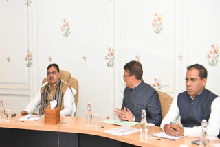 Bhajan Lal Sharma meeting with energy department