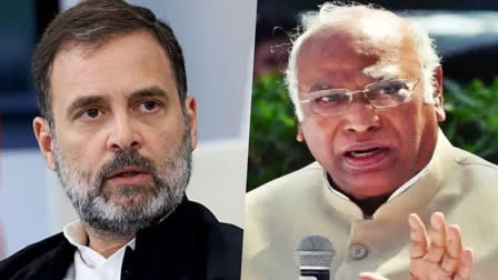 Giriraj Singh  Mallikarjun Kharge  Mamata Banerjee  Arvind Kejriwal  Rahul Gandhi  INDIA bloc race  mamata kejriwal proposed kharges name as PM face  Mallikarjun Kharge name proposed as PM face  2024 Lok Sabha elections  രാഹുൽ ഗാന്ധി  ലോക്‌സഭാ തെരഞ്ഞെടുപ്പ്‌  INDIA blocs prime ministerial candidate  BJP