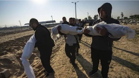 Gaza war is world's moral failure says Red Cross