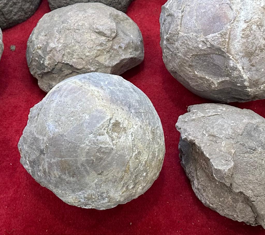 पत्थरनुमा आकृतियां डायनासोर के अंडे.