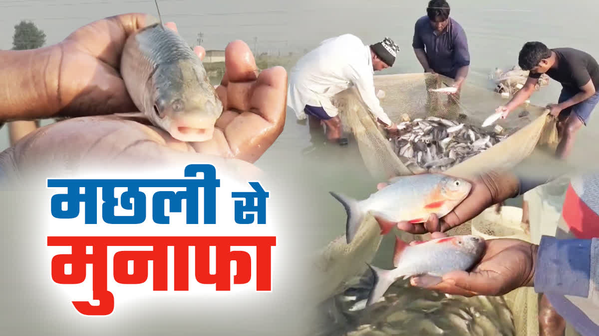 Karnal jai bhagwan fish farming