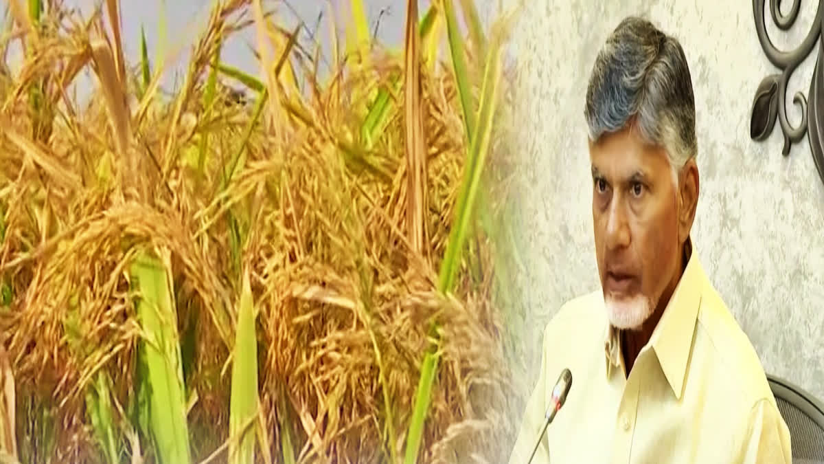 cm_chandrababu_direct_interaction_with_farmers