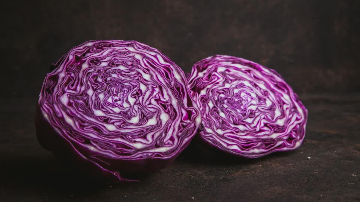 purple cabbage