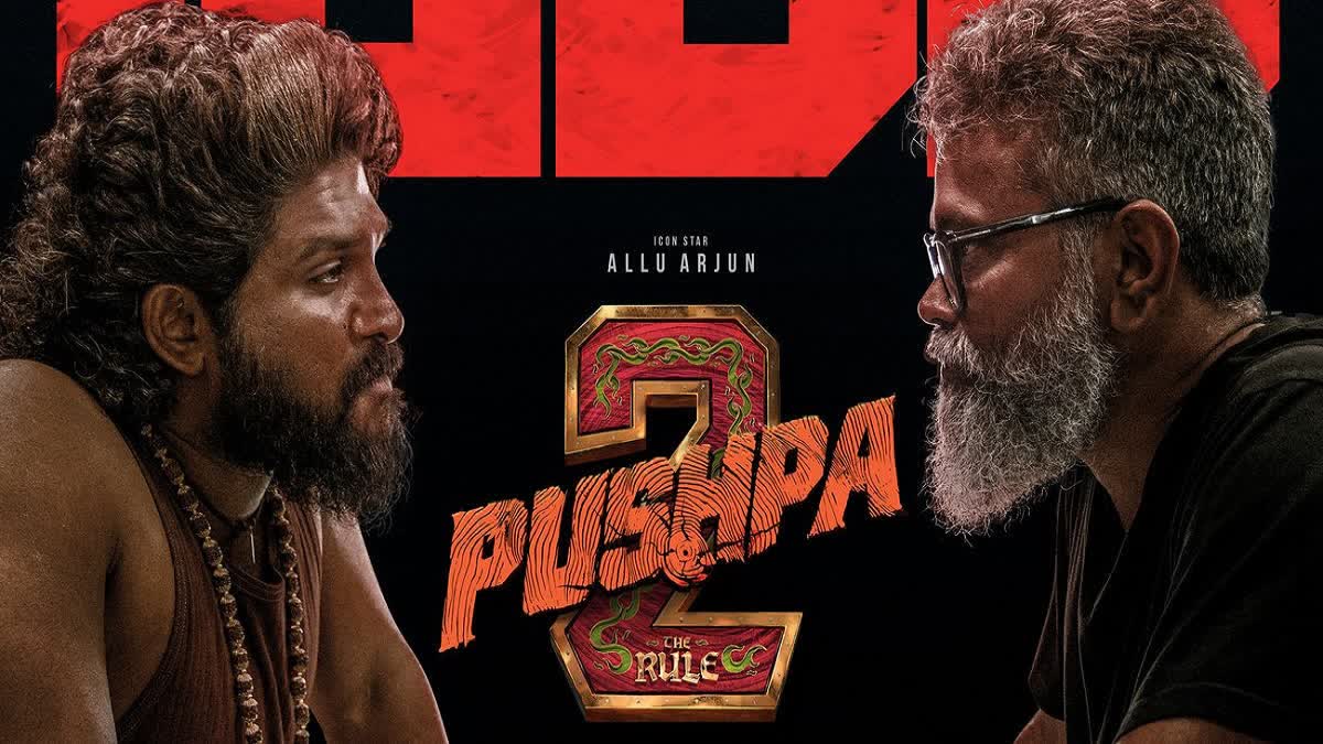 pushpa 2 box office collection