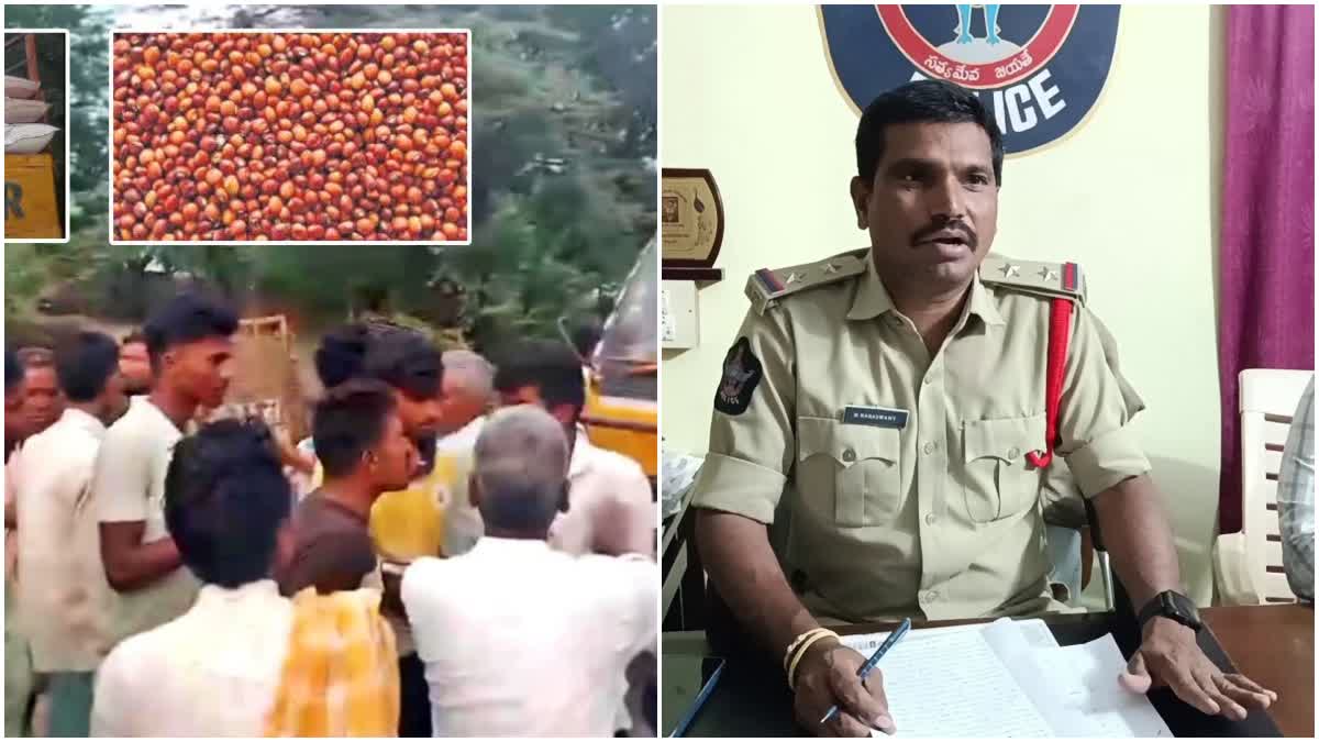 LENTILS FRAUD IN CHABALA VILLAGE