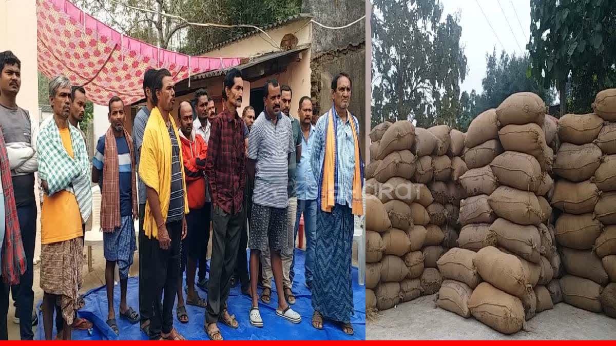 Paddy Procurement At Balangir