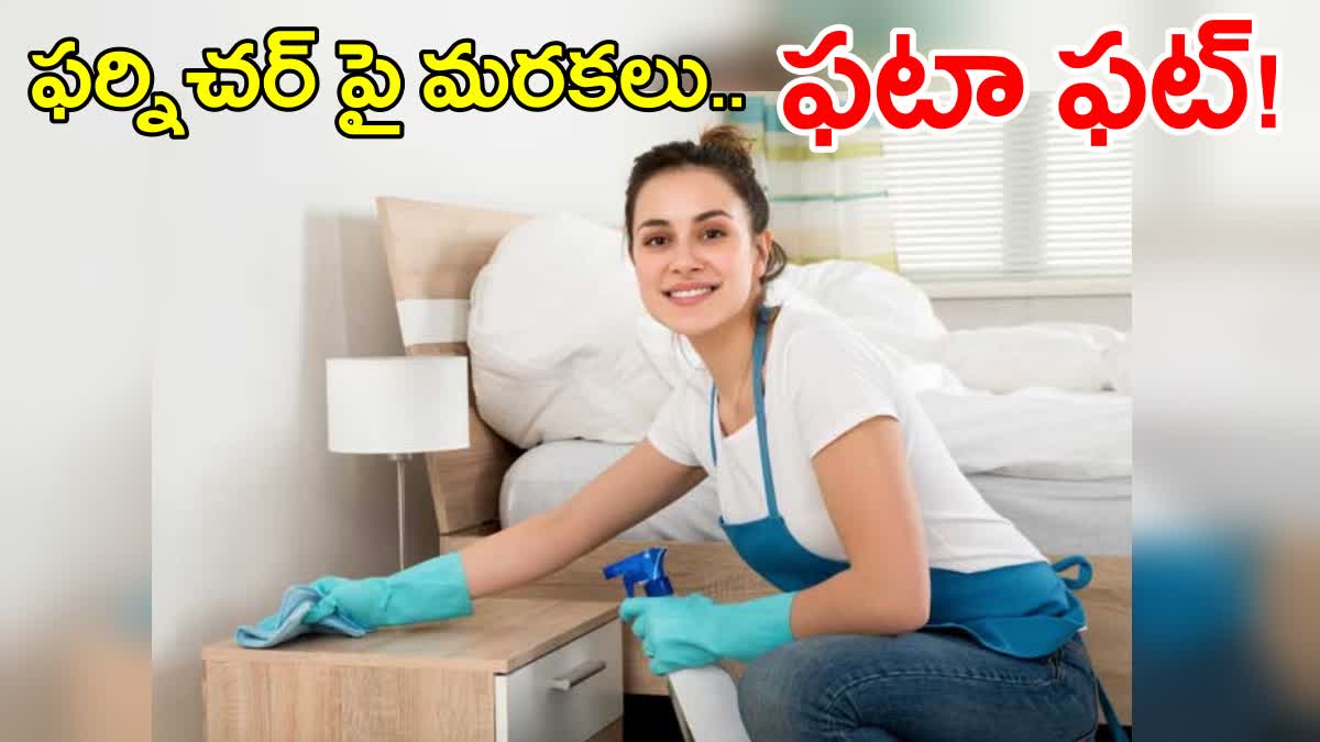 Furniture Cleaning