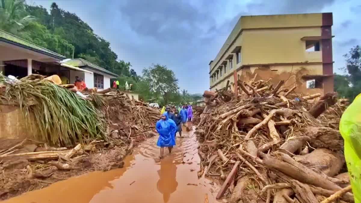 വയനാട് ടൗണ്‍ഷിപ്പ് പദ്ധതി  388FAMILY FIRST LIST REHABILITATION  LANDSLIDE VICTIMS OF WAYANAD  LATEST NEWS IN MALAYALAM