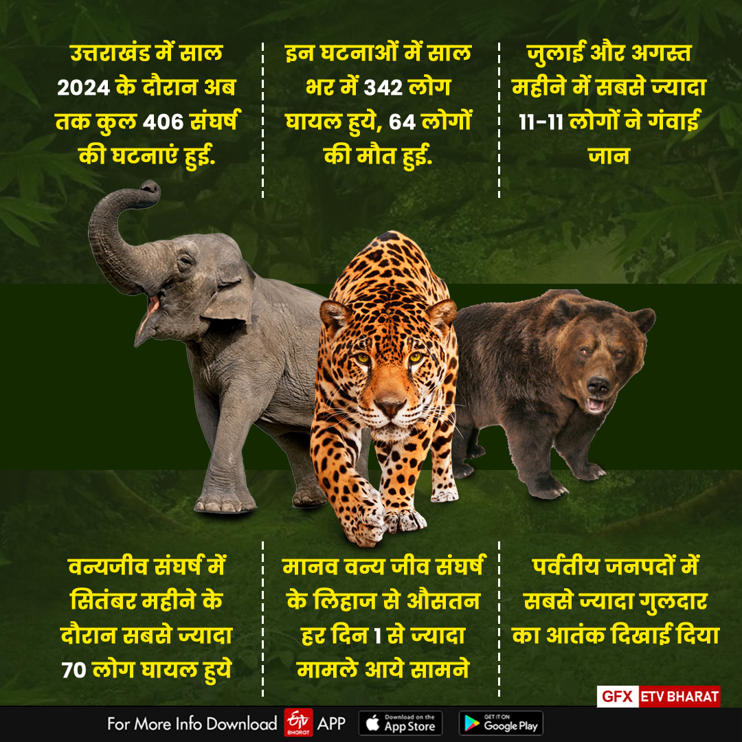 WILDLIFE CONFLICT YEAR ENDER