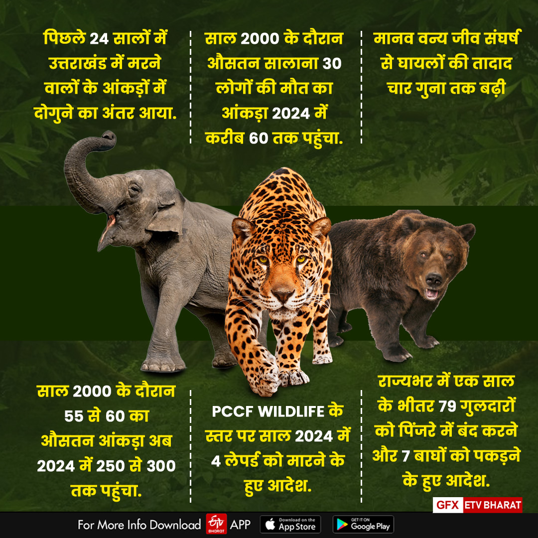 WILDLIFE CONFLICT YEAR ENDER