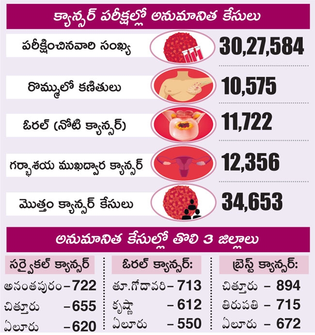 Cancer Screening Program