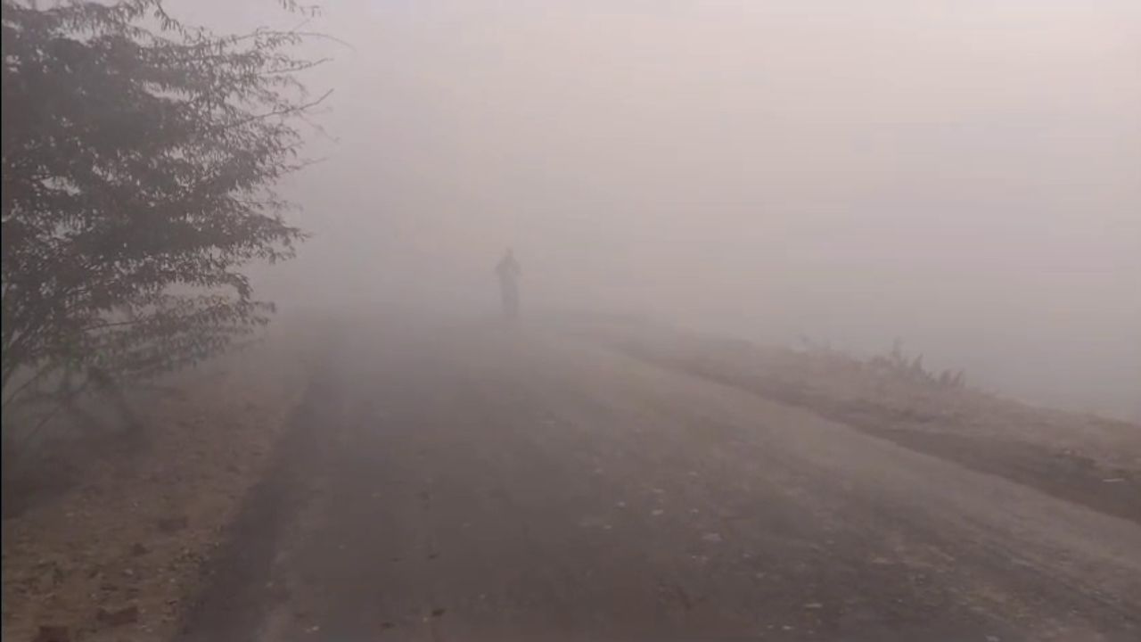 Vehicle speed reduced due to fog in Haryana