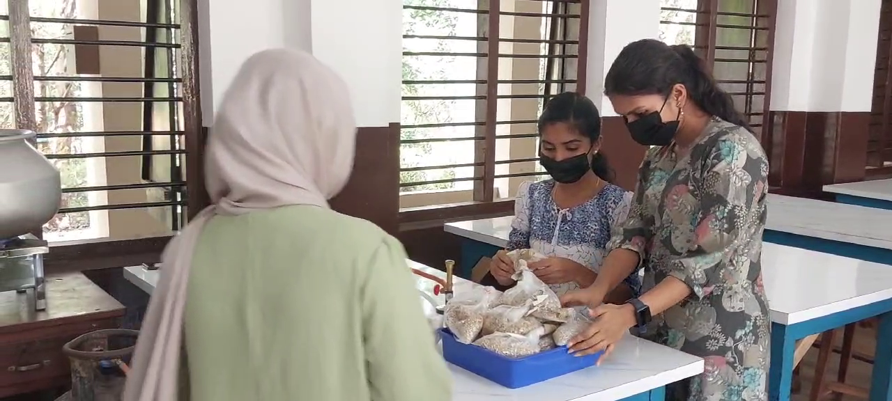 PAYYANUR COLLEGE BOTANY DEPARTMENT  PAYYANUR COLLEGE MERRY MUSHROOM  പയ്യന്നൂര്‍ കോളജ് കൂണ്‍കൃഷി  മെറി മഷ്‌റൂം പയ്യന്നൂര്‍ കോളജ്