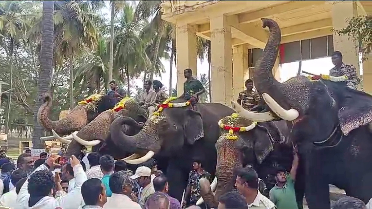 Pooja to elephants in temple