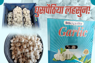 CHINESE GARLIC ISSUE MADHYA PRADESH