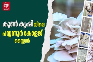 PAYYANUR COLLEGE BOTANY DEPARTMENT  PAYYANUR COLLEGE MERRY MUSHROOM  പയ്യന്നൂര്‍ കോളജ് കൂണ്‍കൃഷി  മെറി മഷ്‌റൂം പയ്യന്നൂര്‍ കോളജ്