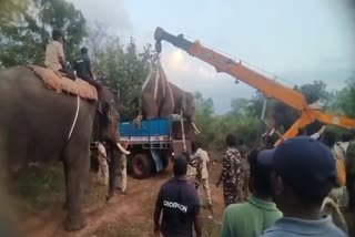 Pooja to Elephant at Kengal Hanumanthaya Temple