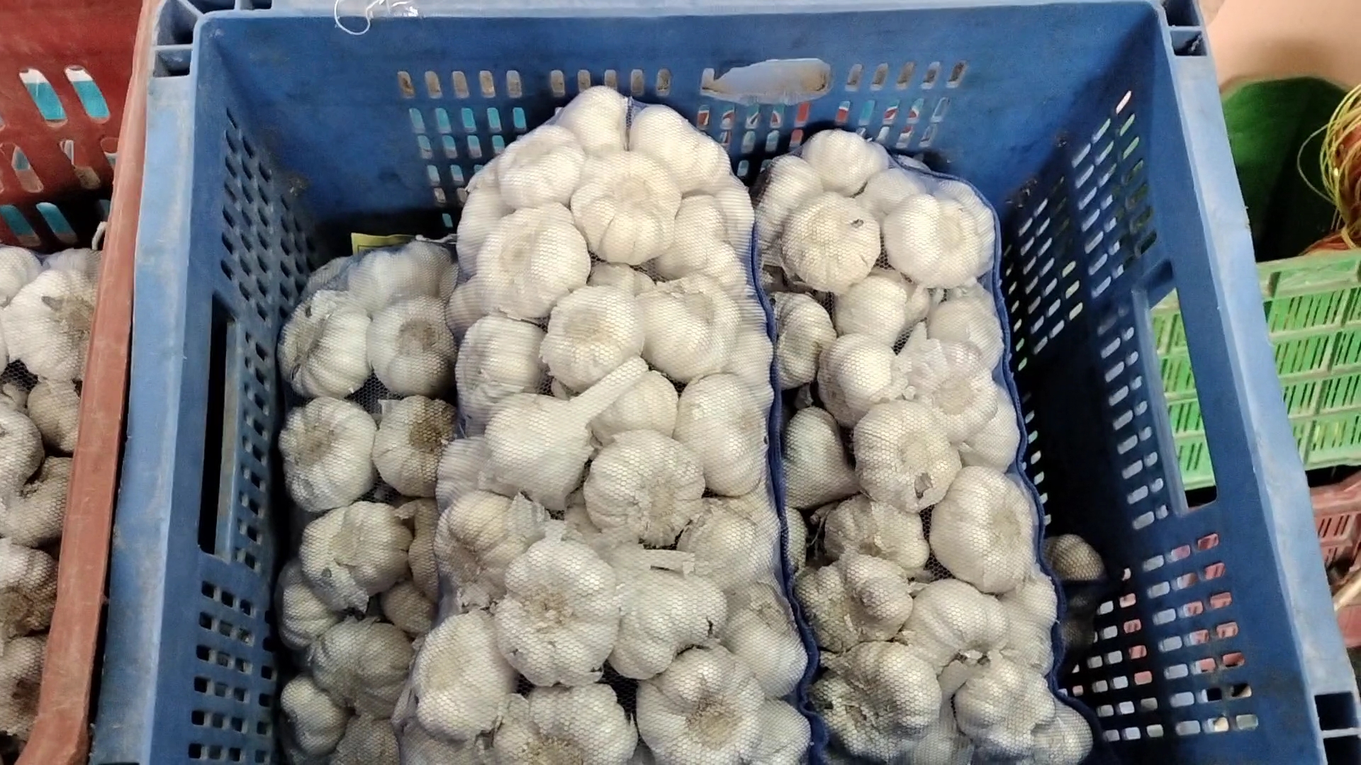 garlic price madhya pradesh