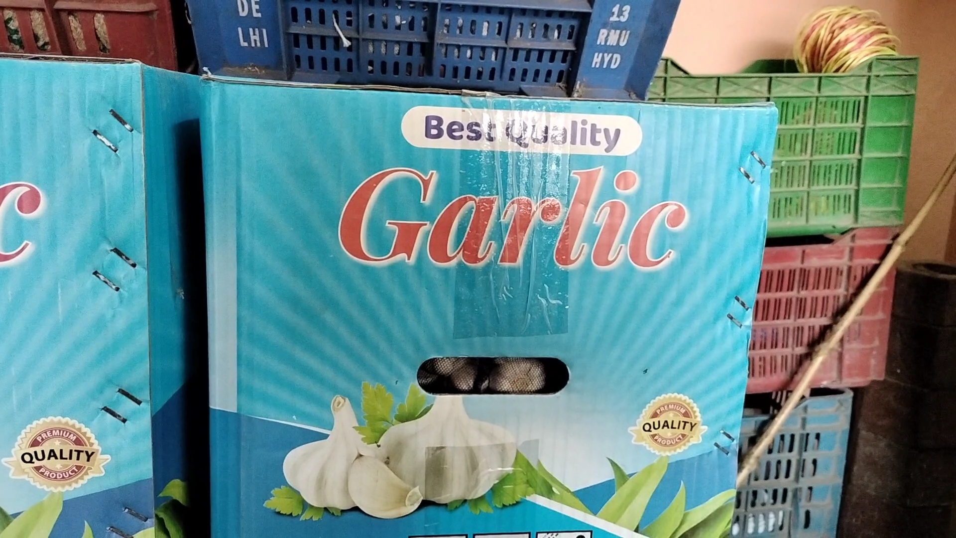 garlic price today