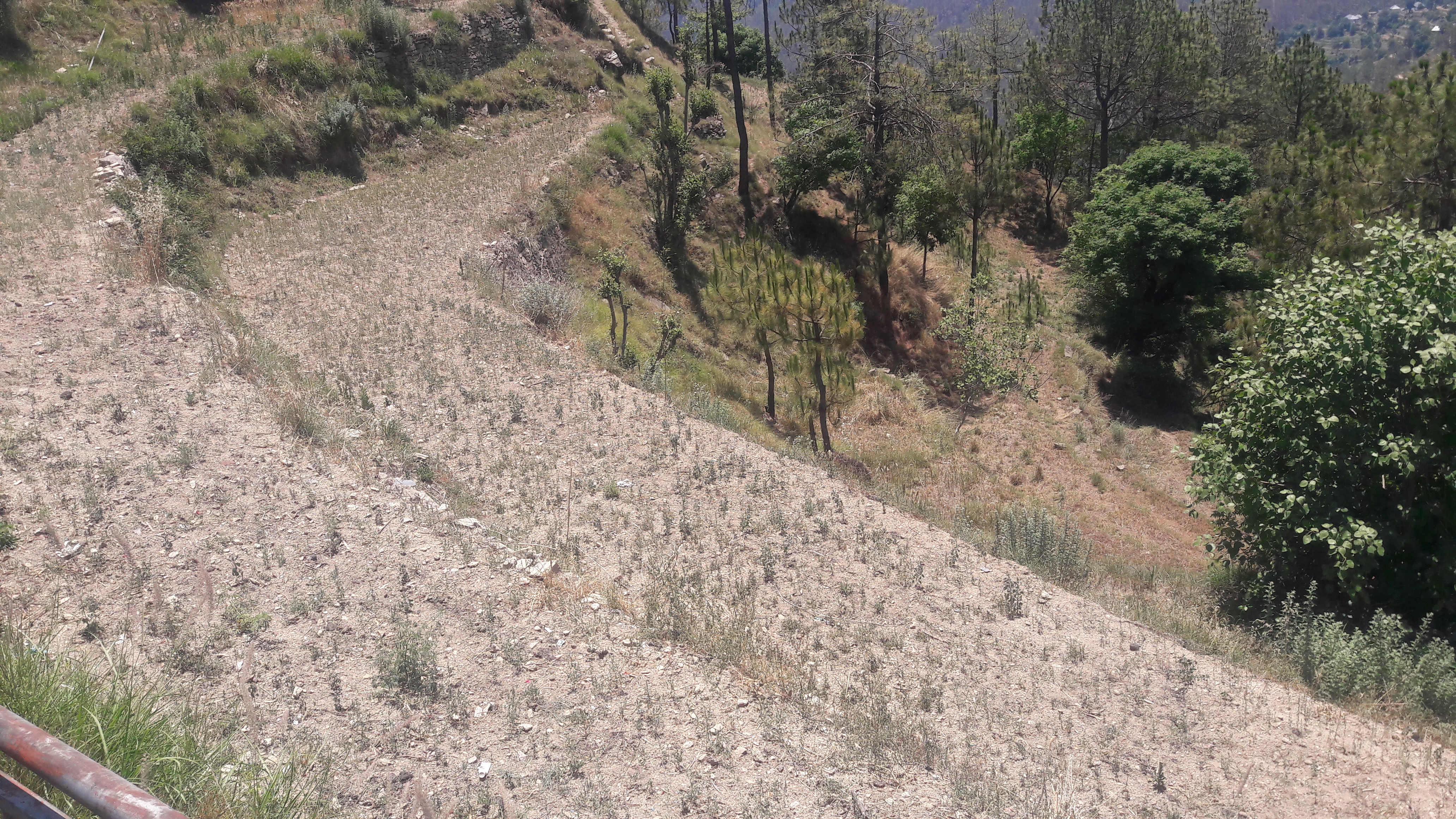 drought farm due to Low Rain