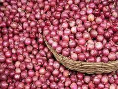 Bangladesh urges India to withdraw ban on onion export