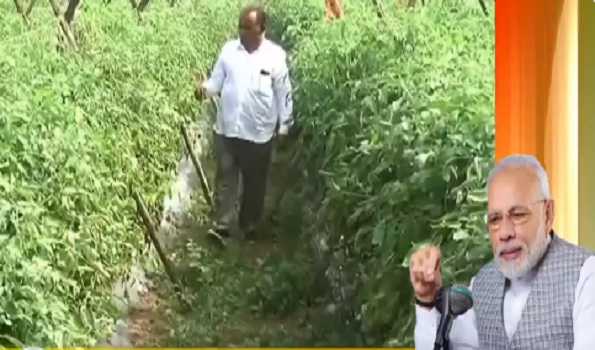 farmers playing major role in aatmanirbhar bharat, says prime minister narendra modi