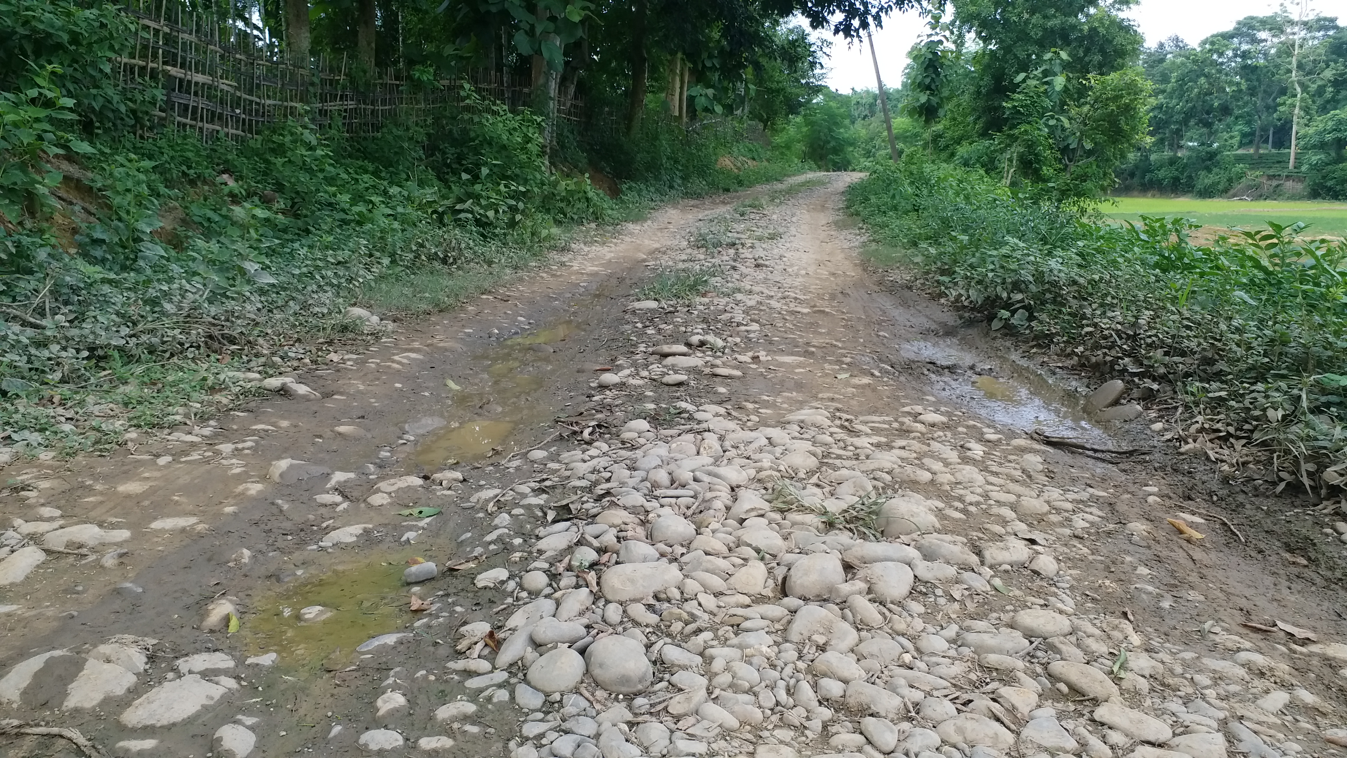 এতিয়াও খোৱা পানীৰ অভাৱত লাভলীনা বৰগোঁহাইৰ গাঁওখন