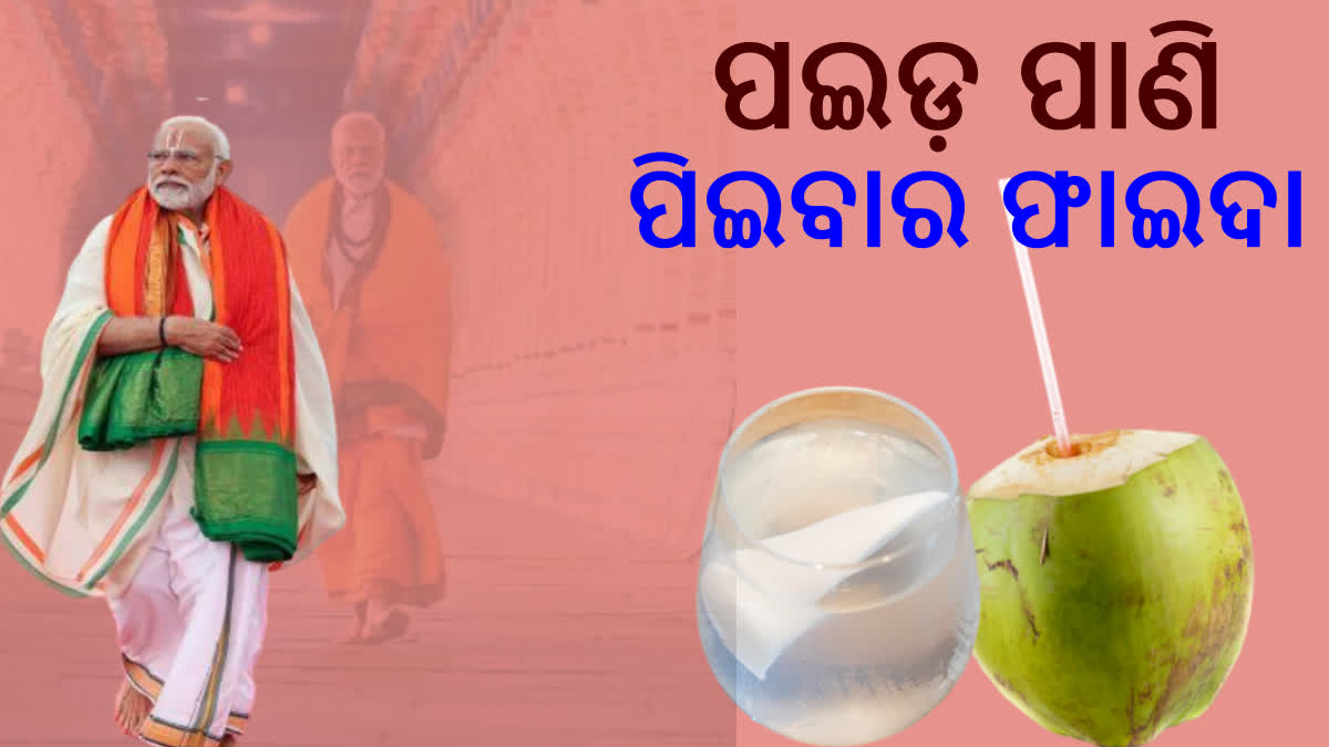 ଉପବାସରେ ପଇଡ଼ ପାଣି ପିଉଛନ୍ତି ମୋଦି, ଜାଣନ୍ତୁ ଏଥିରୁ କେତେ ଶକ୍ତି ମିଳିଥାଏ?