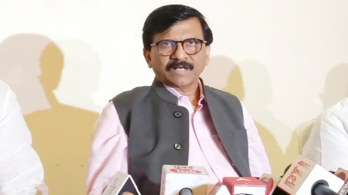 MP Sanjay Raut on Devendra Fadnvis