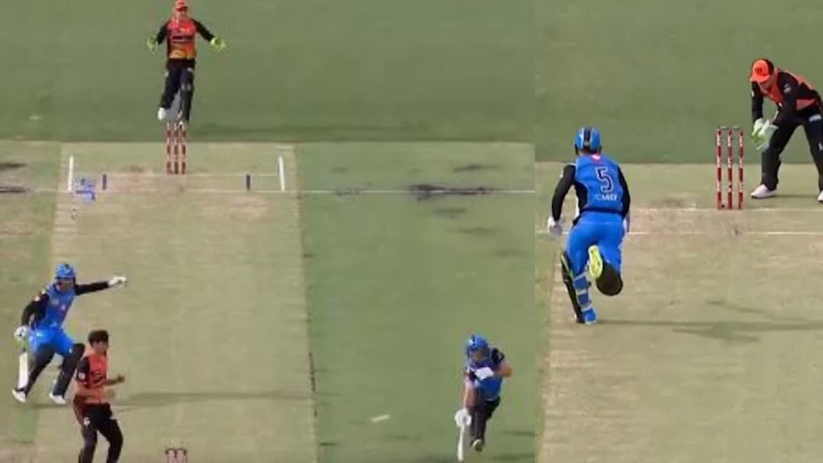 Run Out Big Bash League