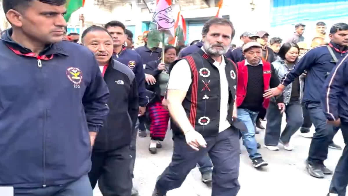 Rahul Gandhi on his Bharat Jodo Nyay Yatra (Source: Screen grab from video shard by X@INCIndia)