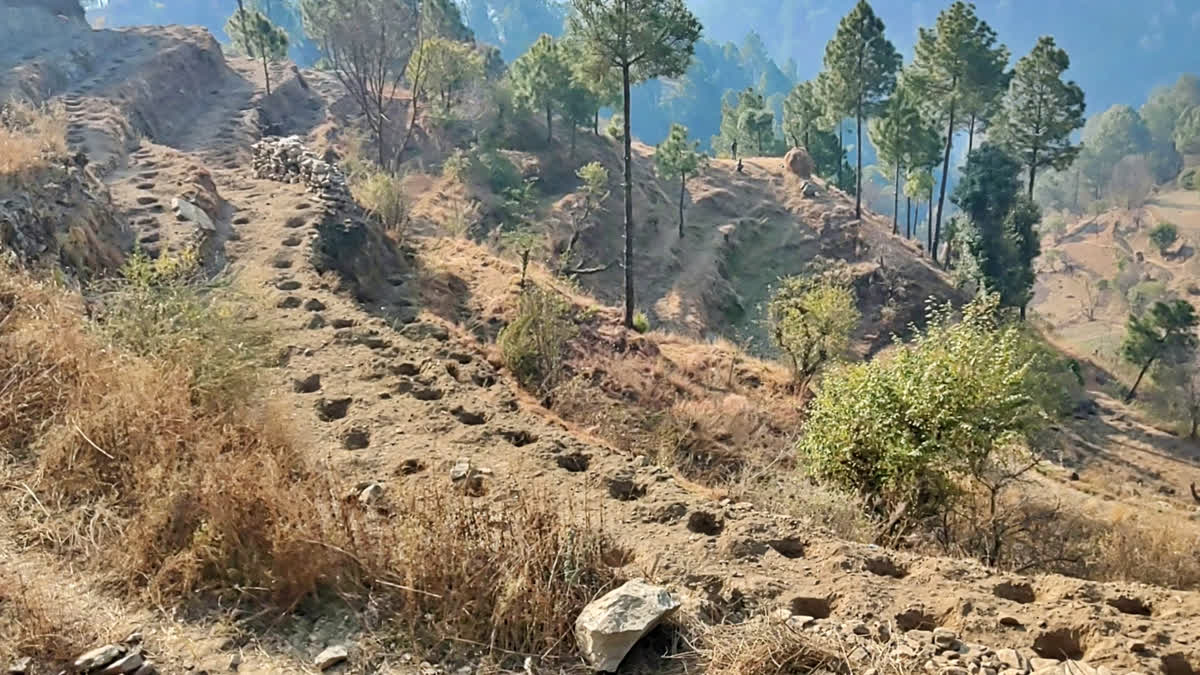 Himachal Drought