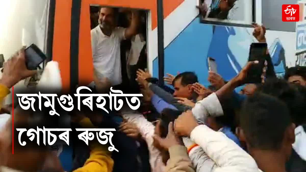 bharat jodo nyay yatra