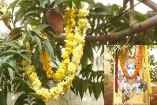 Ramphala tree  special pooja  ಅಯೋಧ್ಯೆ ರಾಮಮಂದಿರ  ಬಾಲ ರಾಮನ ಮೂರ್ತಿಯ ಪ್ರಾಣ ಪ್ರತಿಷ್ಠಾಪನೆ  Ayodhya Ram Mandir