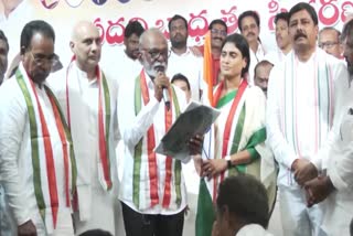 AP PCC president Sharmila criticizes CM Jagan