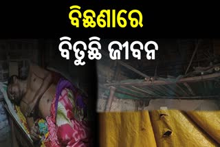 ଚିକିତ୍ସା ପାଇଁ ସହାୟତା ଲୋଡ଼ା