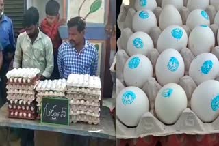 Anganwadi Eggs in Shop