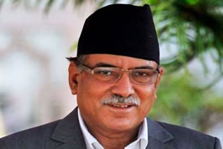 PM Prachanda expresses concern